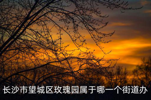 長沙市望城區玫瑰園屬于哪一個街道辦