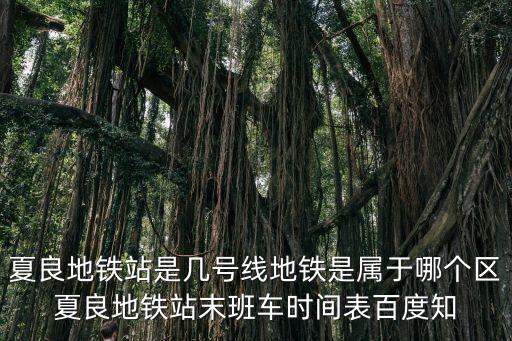 夏良，夏良小學(xué)好還是龍歸小學(xué)好