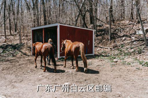 廣東廣州白云區郵編
