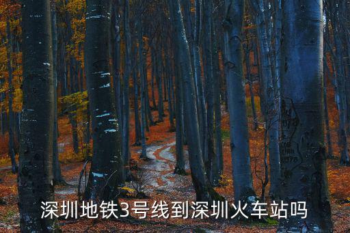 深圳地鐵3號線到深圳火車站嗎