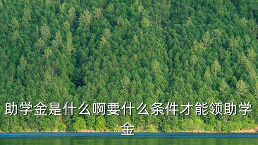 助學金是什么啊要什么條件才能領助學金