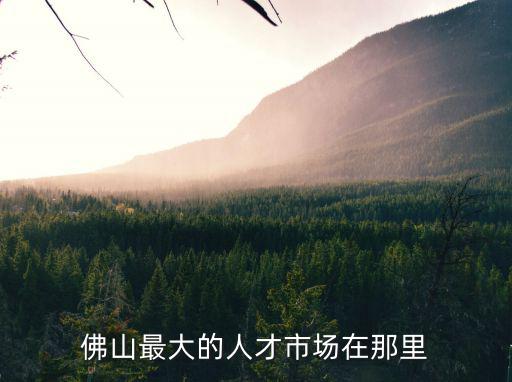 佛山最大的人才市場在那里