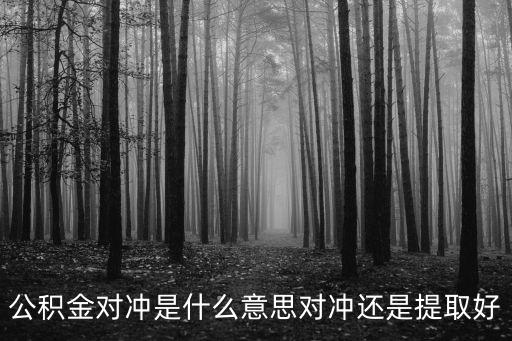 公積金對(duì)沖是什么意思對(duì)沖還是提取好