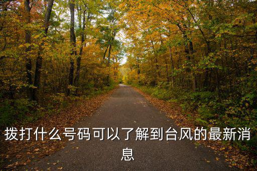 臺風110，撥打什么號碼可以了解到臺風的最新消息