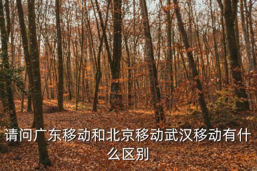 請問廣東移動和北京移動武漢移動有什么區別