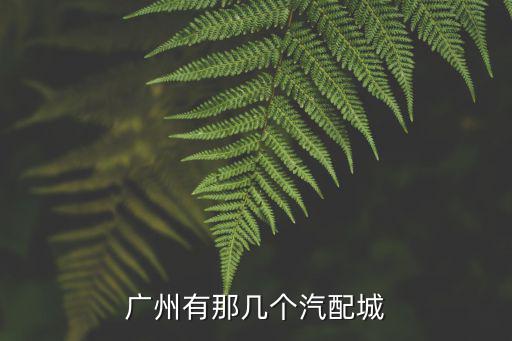 廣州有那幾個汽配城