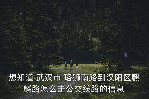 想知道 武漢市 珞獅南路到漢陽區(qū)麒麟路怎么走公交線路的信息