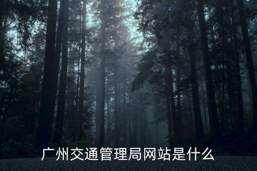 廣州交通管理局網(wǎng)站是什么