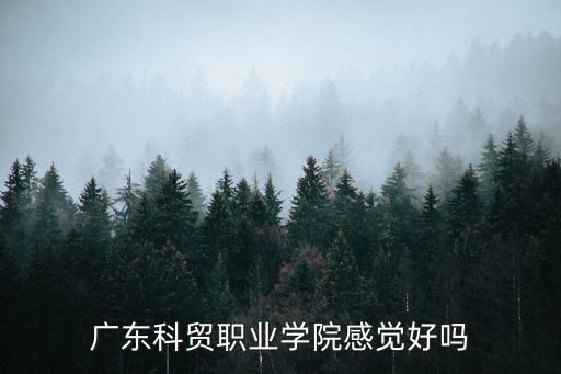 廣東科貿職業學院感覺好嗎