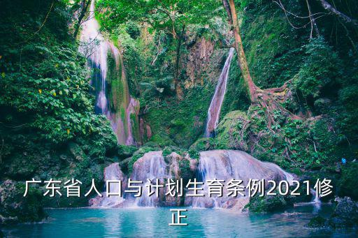 廣東省人口與計(jì)劃生育條例2021修正