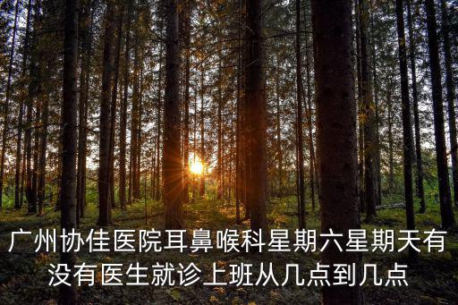 廣州協佳醫院耳鼻喉科星期六星期天有沒有醫生就診上班從幾點到幾點