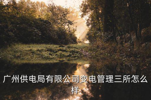 廣州供電局有限公司變電管理三所怎么樣