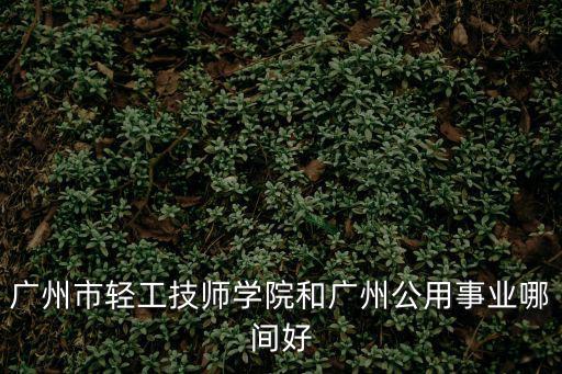 廣州市輕工技師學院和廣州公用事業哪間好