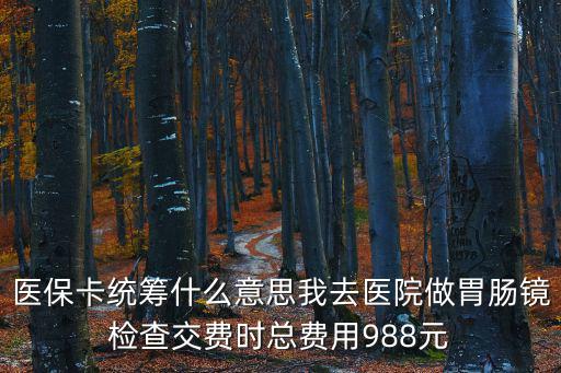 醫保卡統籌什么意思我去醫院做胃腸鏡檢查交費時總費用988元
