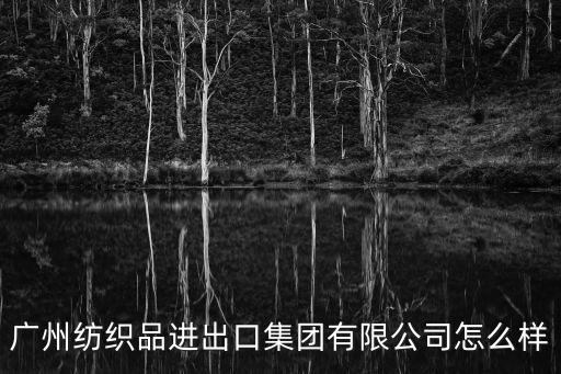 廣州紡織品進出口集團有限公司怎么樣
