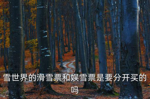 滑雪票，雪世界的滑雪票和娛雪票是要分開買的嗎