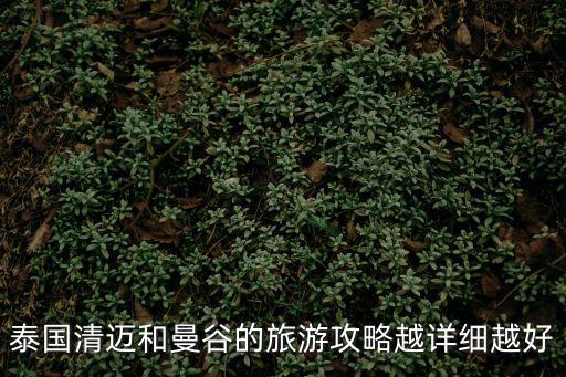 攻略泰國曼谷，泰國曼谷一日游的路線怎么安排