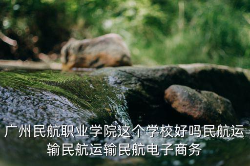 廣州民航職業學院這個學校好嗎民航運輸民航運輸民航電子商務