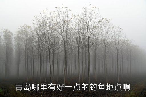 青島哪里有好一點(diǎn)的釣魚地點(diǎn)啊