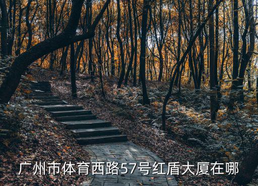 廣州市體育西路57號紅盾大廈在哪