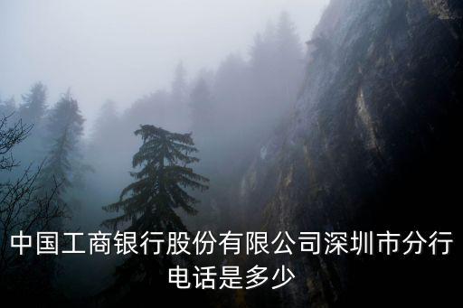 中國工商銀行股份有限公司深圳市分行電話是多少