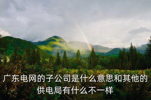 廣東電網的子公司是什么意思和其他的供電局有什么不一樣