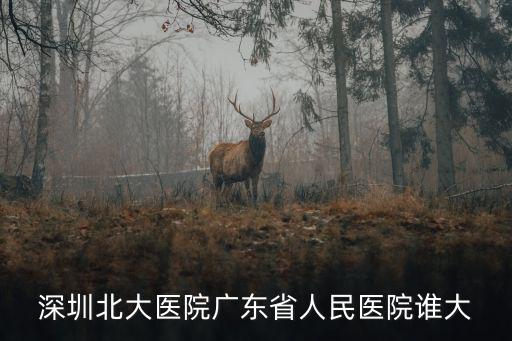 深圳北大醫(yī)院廣東省人民醫(yī)院誰大