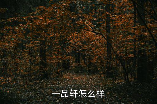 一品軒怎么樣