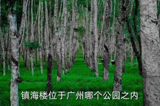廣州鎮海樓，鎮海樓位于廣州哪個公園之內