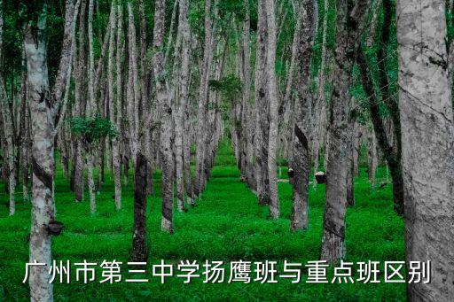 廣州市第三中學(xué)揚(yáng)鷹班與重點(diǎn)班區(qū)別