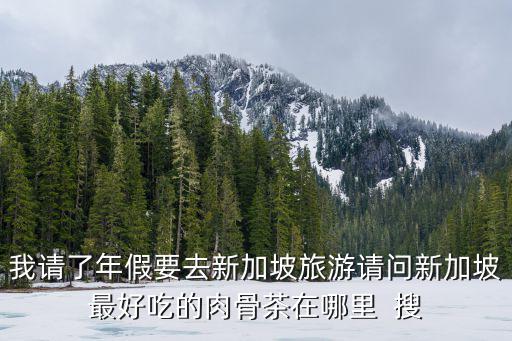 我請了年假要去新加坡旅游請問新加坡最好吃的肉骨茶在哪里  搜