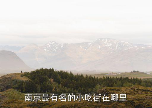 南京最有名的小吃街在哪里