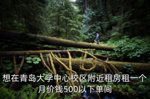 青島大學租房，想在青島大學中心校區附近租房租一個月價錢500以下單間