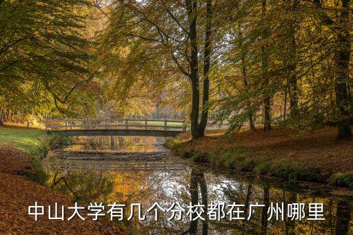 中山大學有幾個分校都在廣州哪里