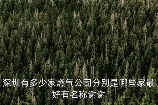 深圳有多少家燃氣公司分別是哪些家最好有名稱謝謝
