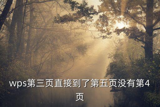 wps第三頁直接到了第五頁沒有第4頁