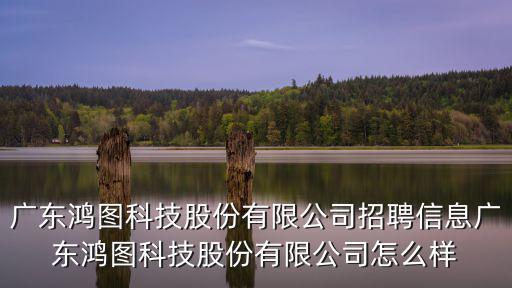 廣東鴻圖科技股份有限公司招聘信息廣東鴻圖科技股份有限公司怎么樣
