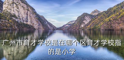 廣州市育才學校是在哪個區育才學校指的是小學