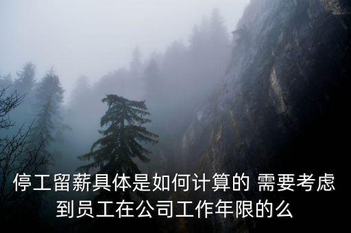 停工留薪期如何確定，停工留薪期到底如何計算