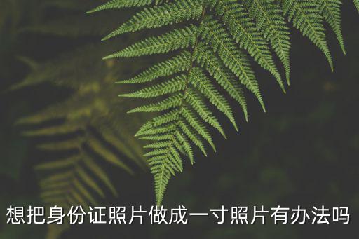 身份證證件照，身份證照片
