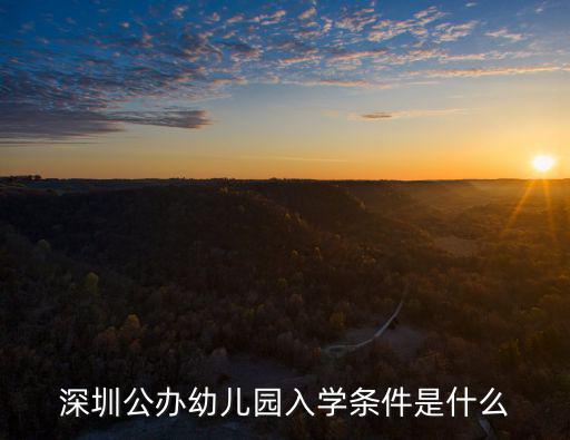 深圳公辦幼兒園入學條件是什么