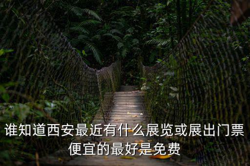 誰知道西安最近有什么展覽或展出門票便宜的最好是免費