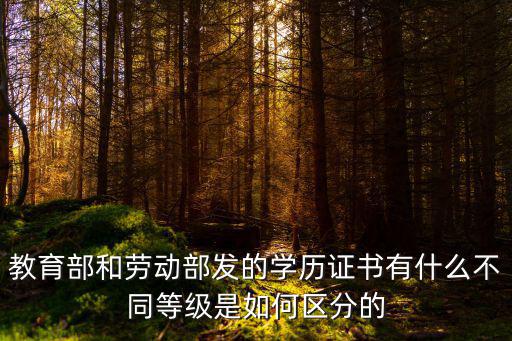 教育部和勞動部發(fā)的學歷證書有什么不同等級是如何區(qū)分的