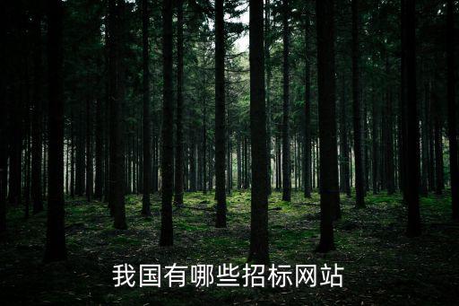 我國有哪些招標網站