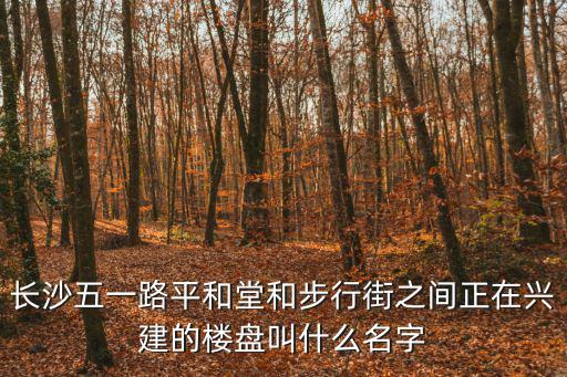 長沙ifs國金中心，請問長沙市岳麓區金星北路三段399號是一個售樓部嗎