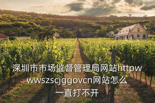 深圳市市場監督管理局網站httpwwwszscjggovcn網站怎么一直打不開