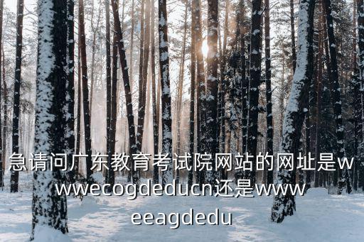 急請問廣東教育考試院網站的網址是wwwecogdeducn還是wwweeagdedu