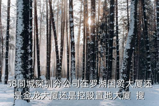 58同城深圳分公司在羅湖國(guó)貿(mào)大廈還是金龍大廈還是控股置地大廈  搜