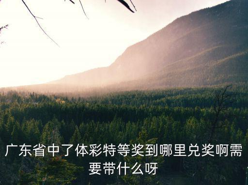 廣東省中了體彩特等獎到哪里兌獎啊需要帶什么呀