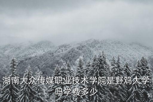 湖南大眾傳媒職業技術學院是野雞大學嗎學費多少